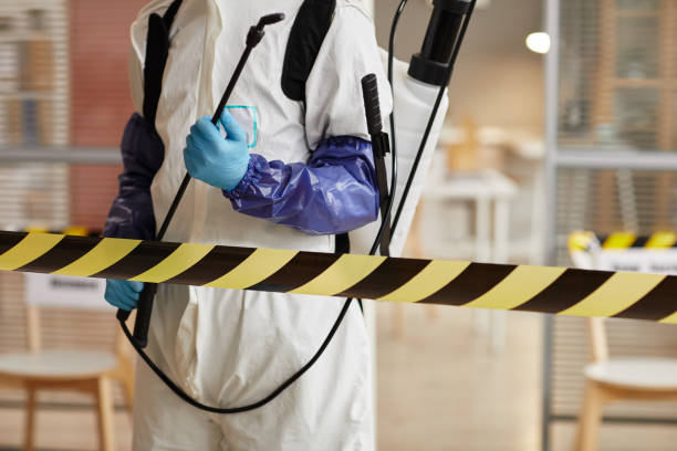 Professional Odor Removal technician working in Badger, CA